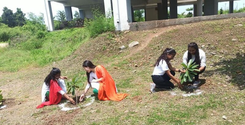 51482592433_15097466cf_c